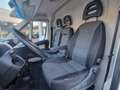 Fiat Ducato 30 2.3 MJT 130CV L1 H2 Furgone Bianco - thumbnail 7