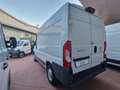 Fiat Ducato 30 2.3 MJT 130CV L1 H2 Furgone Bianco - thumbnail 6
