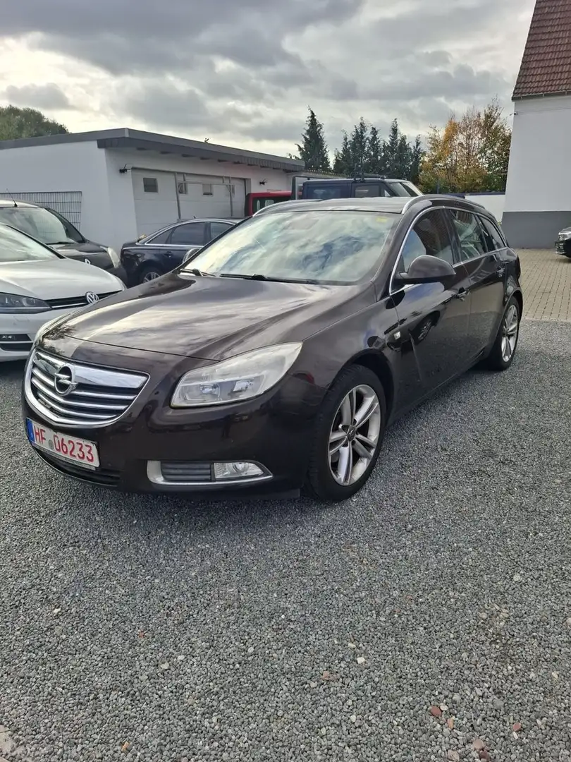 Opel Insignia A Sports Tourer Edition Braun - 1