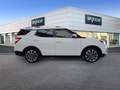 SsangYong XLV G16 Line Blanco - thumbnail 4