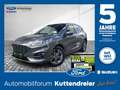 Ford Kuga ST-Line X AHK schw. Voll-LED Glasdach Navi Gris - thumbnail 1