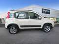 Fiat Panda 1.3 Mjt 4x4 E5+ - thumbnail 5
