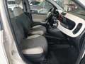 Fiat Panda 1.3 Mjt 4x4 E5+ - thumbnail 16