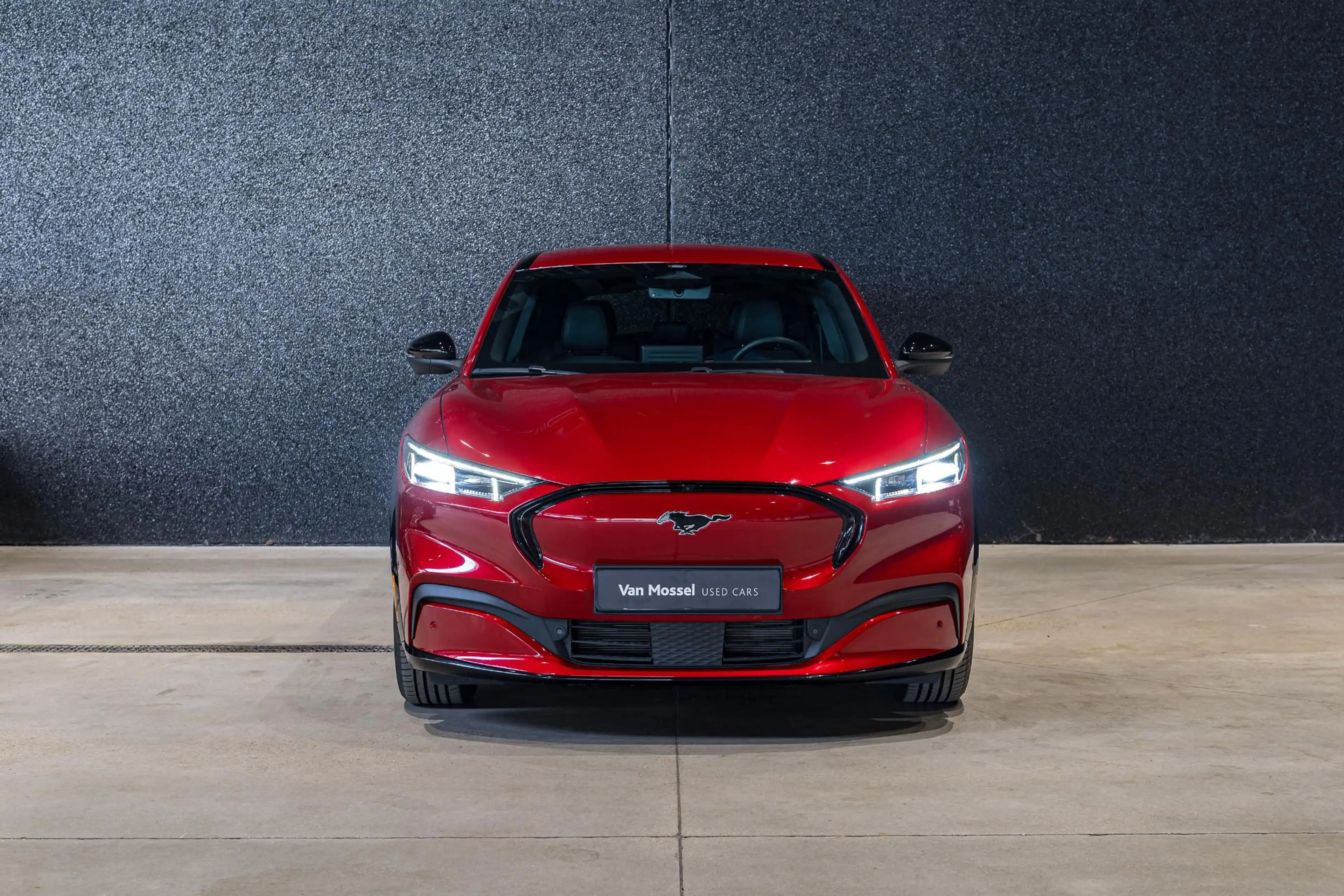 Ford Mustang Mach-E 76kWh 198kW Standard Range AWD SOH 95% — photo 2
