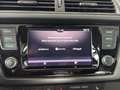 Skoda Fabia Combi Style 1.0TSI *PDC*Kessy*Rear View* Blau - thumbnail 26
