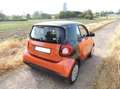 smart forTwo smart fortwo coupe Pomarańczowy - thumbnail 8