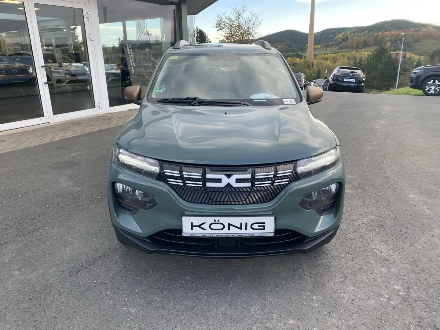 Dacia Spring Extreme 65 Grün - 2