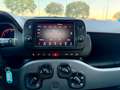 Fiat Panda 1.0 Gse City Live Hybrid Rojo - thumbnail 13