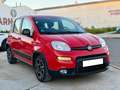 Fiat Panda 1.0 Gse City Live Hybrid Rojo - thumbnail 6