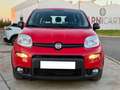 Fiat Panda 1.0 Gse City Live Hybrid Rojo - thumbnail 2