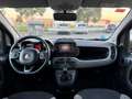 Fiat Panda 1.0 Gse City Live Hybrid Rojo - thumbnail 10