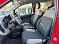 Fiat Panda 1.0 Gse City Live Hybrid Rojo - thumbnail 11