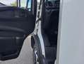Iveco Daily 35C16H3.0 3750 QUAD-TOR RG Bianco - thumbnail 8