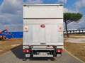 Iveco Daily 35C16H3.0 3750 QUAD-TOR RG Bianco - thumbnail 5