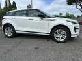 Land Rover Range Rover Evoque 2.0d mhev 163cv R-Dynamic 4x4 UNIPRO Garanzia 12m! Bianco - thumbnail 5