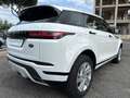 Land Rover Range Rover Evoque 2.0d mhev 163cv R-Dynamic 4x4 UNIPRO Garanzia 12m! Bianco - thumbnail 7