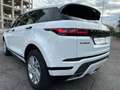 Land Rover Range Rover Evoque 2.0d mhev 163cv R-Dynamic 4x4 UNIPRO Garanzia 12m! Bianco - thumbnail 8