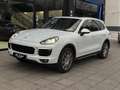 Porsche Cayenne Diesel Blanc - thumbnail 2