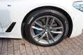 BMW 530 d Lim. xDrive M Sport Shadow, RFK, GSD, LED Weiß - thumbnail 17
