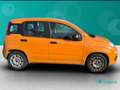 Fiat New Panda 1.0 FireFly Hybrid Oranje - thumbnail 9