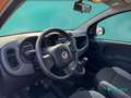 Fiat New Panda 1.0 FireFly Hybrid Оранжевий - thumbnail 12