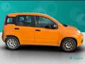 Fiat New Panda 1.0 FireFly Hybrid Оранжевий - thumbnail 9