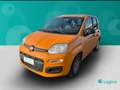 Fiat New Panda 1.0 FireFly Hybrid Оранжевий - thumbnail 5