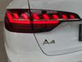 Audi A4 Advanced 30 TDI LED Kamera Navi DAB Bianco - thumbnail 13