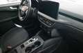 Ford Kuga KUGA ACTIVE 2.5 FHEV 180PS AUT Grün - thumbnail 8