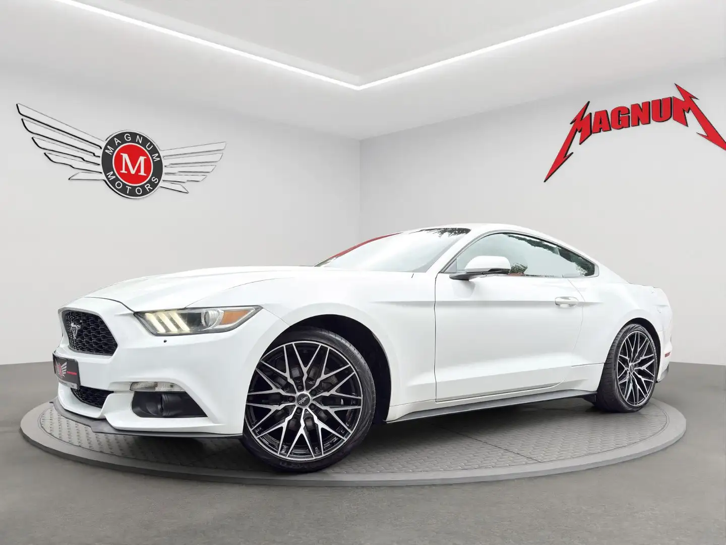Ford Mustang MUSTANG 2.3 EB *Aut.*Leder*R-Cam*Temp.* Weiß - 2