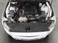 Ford Mustang MUSTANG 2.3 EB *Aut.*Leder*R-Cam*Temp.* Weiß - thumbnail 10