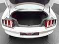 Ford Mustang MUSTANG 2.3 EB *Aut.*Leder*R-Cam*Temp.* Weiß - thumbnail 11