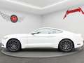 Ford Mustang MUSTANG 2.3 EB *Aut.*Leder*R-Cam*Temp.* Weiß - thumbnail 6