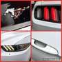 Ford Mustang MUSTANG 2.3 EB *Aut.*Leder*R-Cam*Temp.* Weiß - thumbnail 18