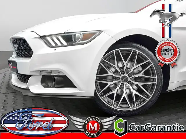 Ford Mustang MUSTANG 2.3 EB *Aut.*Leder*R-Cam*Temp.*