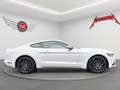 Ford Mustang MUSTANG 2.3 EB *Aut.*Leder*R-Cam*Temp.* Weiß - thumbnail 7
