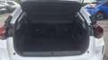 Citroen C4 1.2 PureTech Shine S&S 130 Blanco - thumbnail 9
