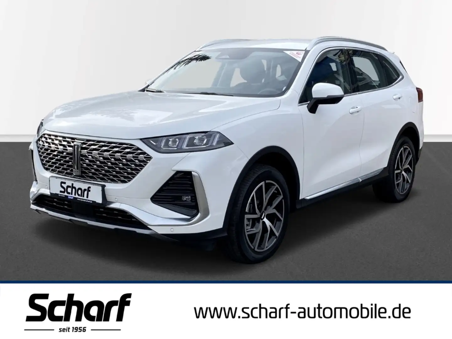 GWM WEY 03 Premium PHEV Sitzheizung LED Navi 360 Kam. Weiß - 1