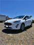 Ford Fiesta 5p 1.0 ecoboost Titanium 100cv - thumbnail 1