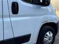 Fiat Ducato Ducato 33 115 Multijet L2H2 teilverglast Weiß - thumbnail 9