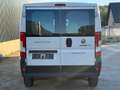 Fiat Ducato Ducato 33 115 Multijet L2H2 teilverglast Weiß - thumbnail 3