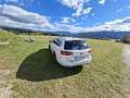 Volkswagen Passat Alltrack Passat Alltrack BMT 2,0 TDI SCR 4Motion DSG Weiß - thumbnail 5