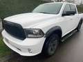 Dodge RAM 1500 Blanc - thumbnail 1