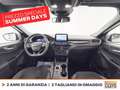 Ford Kuga 2.5 full hybrid st-line x 2wd 190cv cvt Grigio - thumbnail 10
