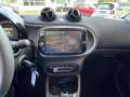 smart forTwo EQ cabrio*EXCLUSIVE*22kW*CAM*MEDIA*SHZ*ALU*ALLW*LE Gris - thumbnail 9