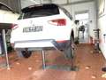 SEAT Arona 1.0 TSI XCELLENCE LED+NAVI+APP+ACC+SHZ+RFK Weiß - thumbnail 3