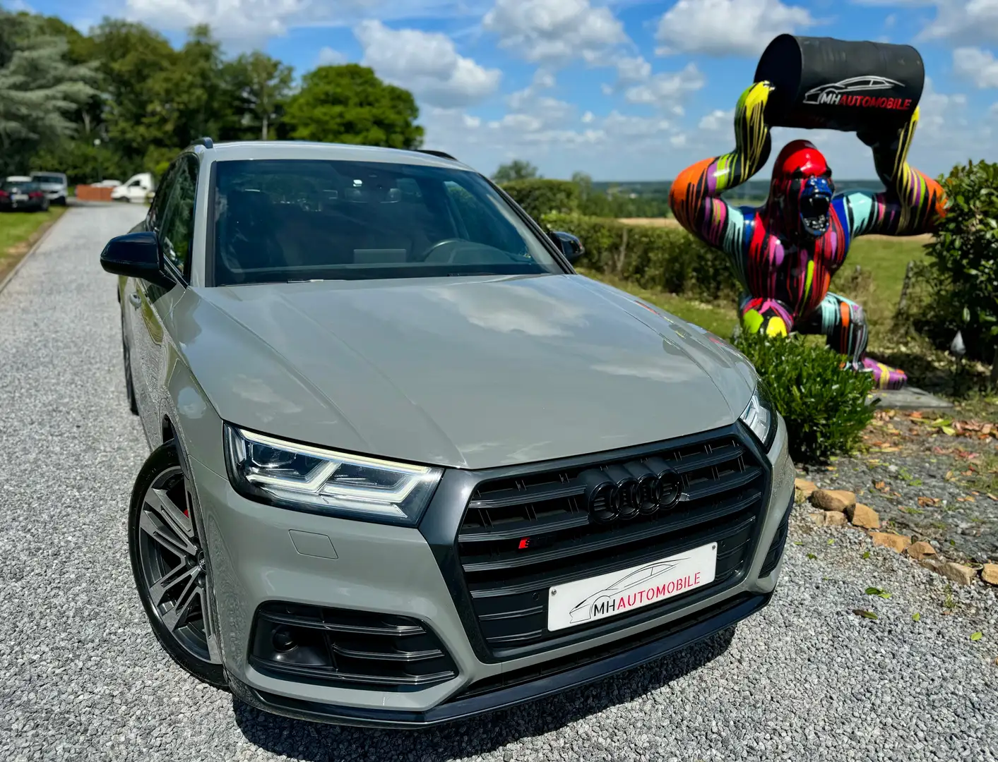 Audi SQ5 SQ5 3.0 V6 TFSi Quattro SQ5 Tiptronic Gris - 2