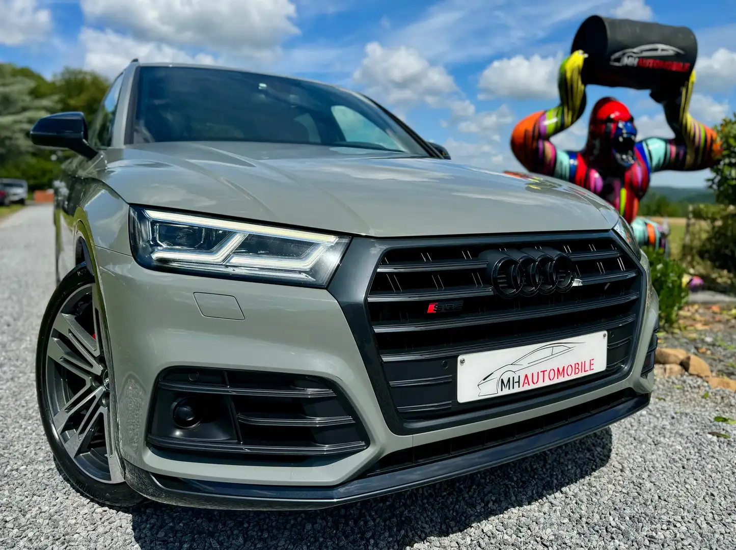 Audi SQ5 SQ5 3.0 V6 TFSi Quattro SQ5 Tiptronic Gris - 1