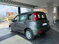 Fiat Panda 1.0 Hybrid 70Cv - Vari Modelli + Colori Grigio - thumbnail 3