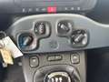 Fiat Panda 1.0 Hybrid 70Cv - Vari Modelli + Colori Grigio - thumbnail 5